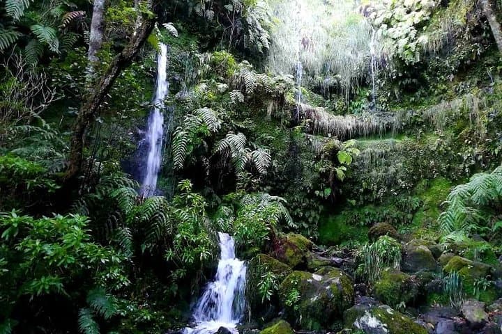 Queimadas to Caldeirão Verde Levada Hike — Madeira's Emerald Waterfall photo 5