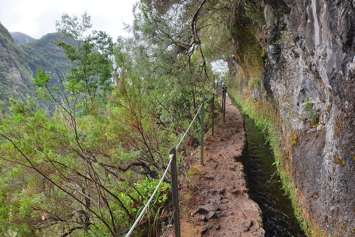 Queimadas to Caldeirão Verde Levada Hike — Madeira's Emerald Waterfall photo 4