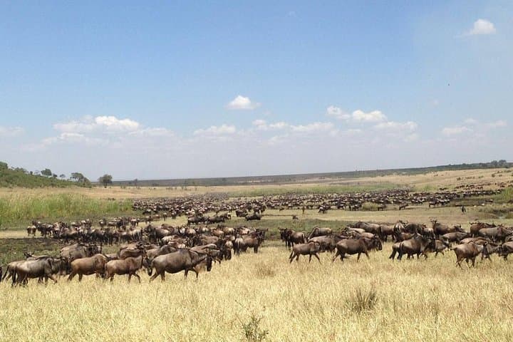 3-Day Amboseli Expedition: Lodge Safari with Private Pop-up Van and Kilimanjaro Views photo 5