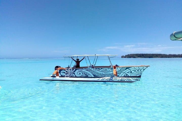Moorea 3-Hour Private Lagoon Snorkel: Stingrays, Sharks & Coral Gardens photo 5