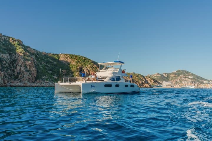 Luxury Catamaran Whale Watching in Cabo San Lucas: Hydrophone Cruises to See Humpbacks photo 3