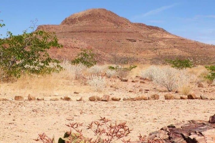 Moon Landscape & Welwitschia Private Tour from Swakopmund — Namib Desert Highlights photo 3