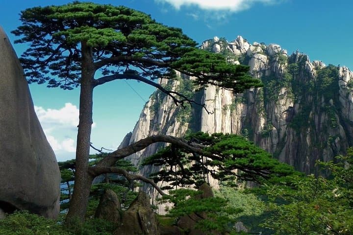 Huangshan Mountain & Hongcun Village Private Day Tour Guide