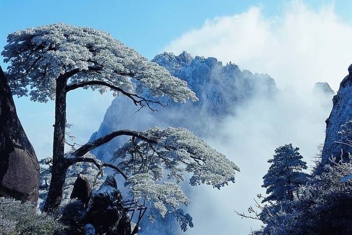 Private Photography Day Tour of Huangshan (Yellow Mountain) — Capture Sea of Clouds & Pine Peaks photo 4