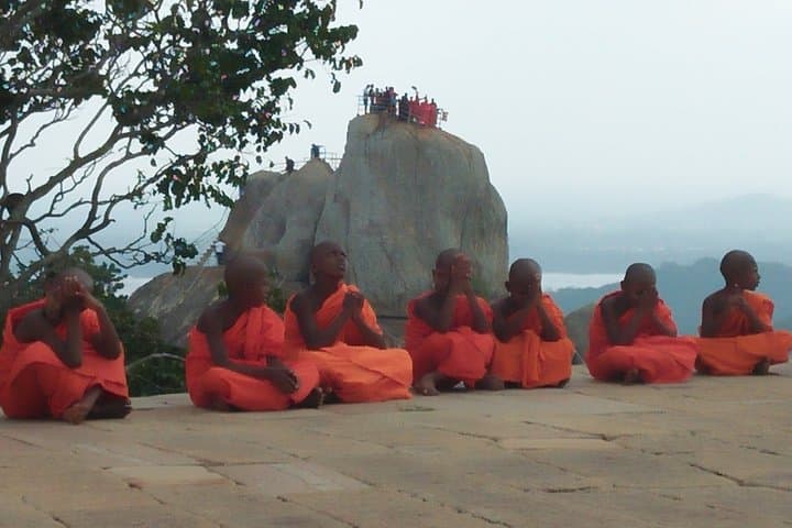 Sri Lanka Highlights: 12-Night, 13-Day Cultural and Wildlife Circuit photo 3