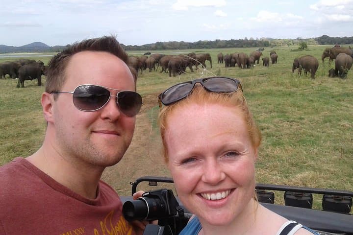 Sri Lanka Highlights: 12-Night, 13-Day Cultural and Wildlife Circuit photo 6