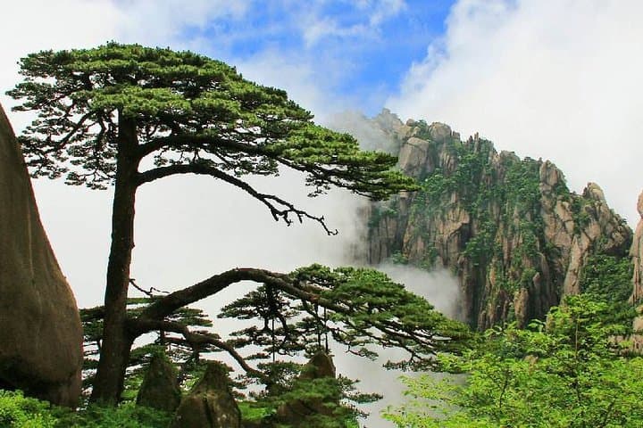 Huangshan & Hangzhou in 3 Days: Private Bullet Train Tour from Shanghai