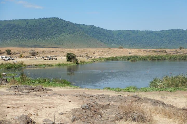 Ngorongoro Crater Day Safari from Arusha — Big Five in a Single Day photo 2