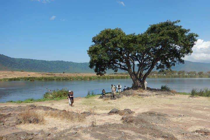 Ngorongoro Crater Day Safari from Arusha — Big Five in a Single Day