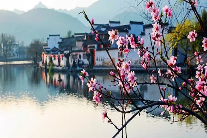 2-Day Huangshan (Yellow Mountain) & Xidi Private Tour from Shanghai photo 5