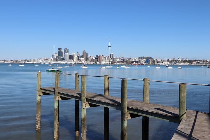 Half-Day Small-Group Auckland Scenic Tour — 4-Hour City Highlights photo 3
