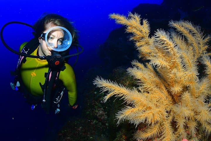 Double Scuba Diving off São Miguel — Two Atlantic Dives on the Azores South Coast