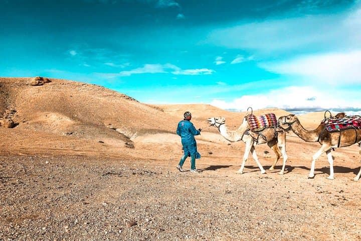 Agafay Desert & Atlas Mountains Day Trip from Marrakech — Camel Ride, Kik Plateau Views, Berber Lunch photo 6