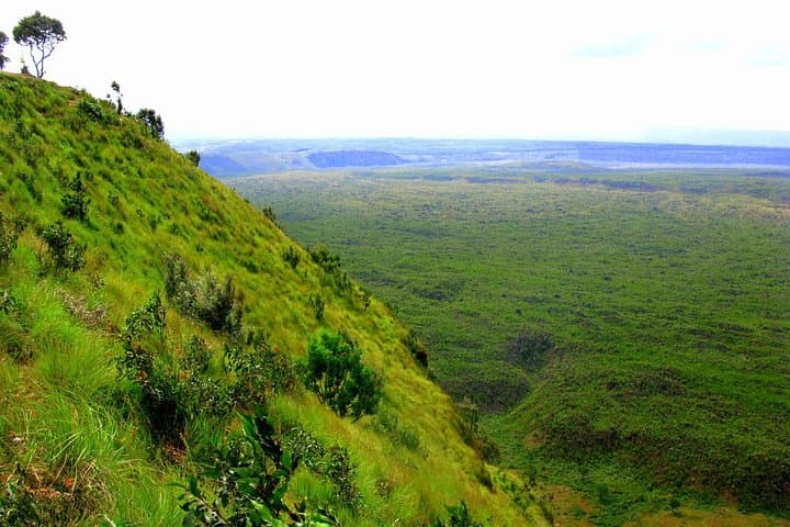 4-Day Kenya Safari: Lake Nakuru to Maasai Mara Wildlife Adventure photo 2
