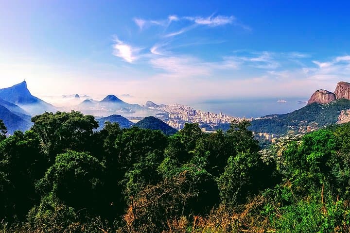 Rio Nature Secrets: Tijuca, Mangroves & Prainha Eco-City Tour photo 2