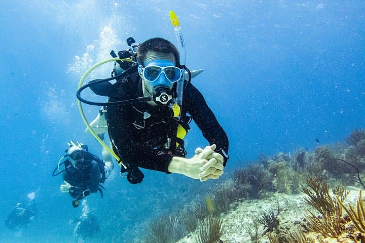 Two-Reef Discover Scuba Dives in Playa del Carmen — Beginner PADI Experience photo 4