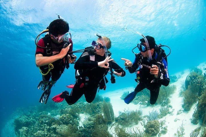 Two-Reef Discover Scuba Dives in Playa del Carmen — Beginner PADI Experience