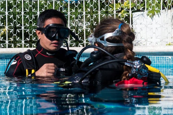 Two-Reef Discover Scuba Dives in Playa del Carmen — Beginner PADI Experience photo 3