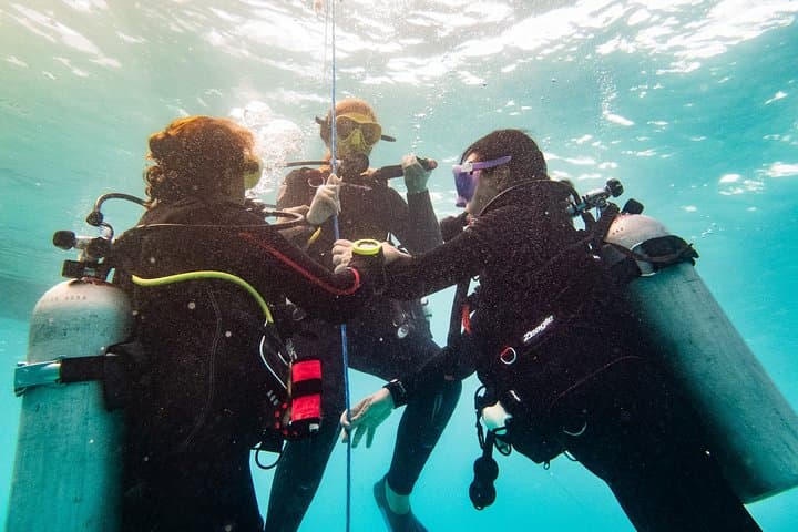 Two-Reef Discover Scuba Dives in Playa del Carmen — Beginner PADI Experience photo 2