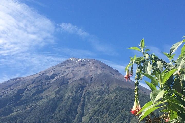 Andes to Amazon Triangle: 4-Day Private Trip from Quito photo 4