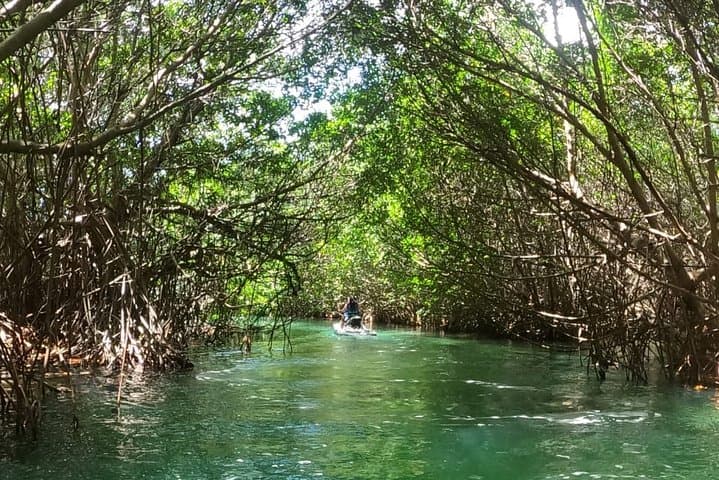Drive a Speed Boat Through Nichupté Lagoon — Mangrove Canals & Cancun Hotel Zone Views photo 6