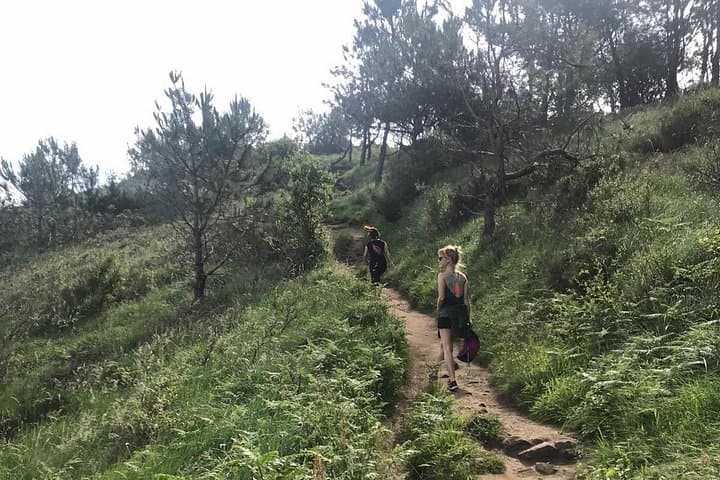 Monte Ulia & Camino de Santiago Coastal Trek from San Sebastián