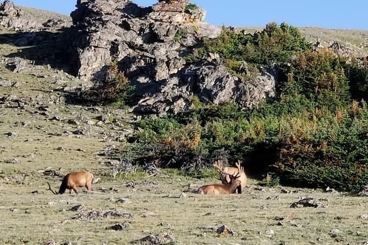 private-three-hour-afternoon-custom-tour-rocky-mountain-national-park