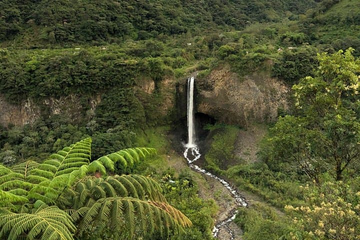 Andes-to-Amazon Triangle: 5-Day Cotopaxi, Baños & Napo River Adventure from Quito photo 4