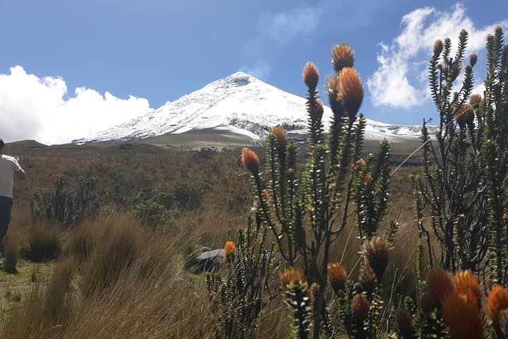 Cotopaxi Volcano Private Day Trip from Quito — Hike to José Ribas Refuge photo 3
