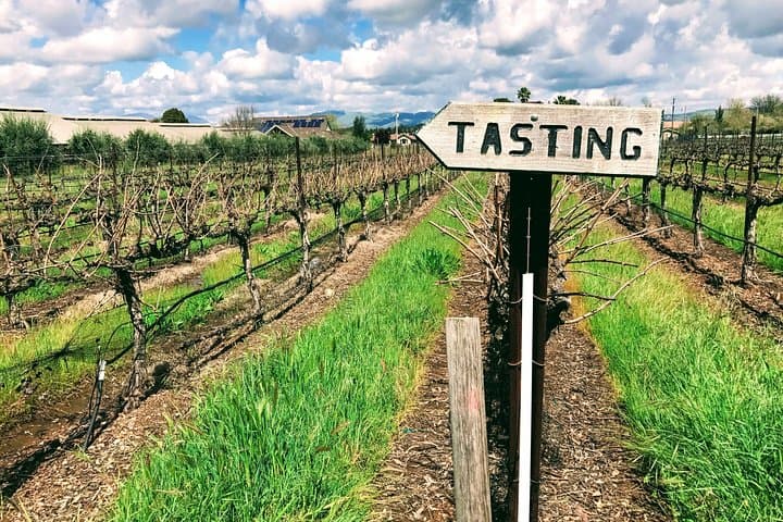 Private 6-Hour Livermore Valley Wine Tour From San Francisco — Custom Tasting Day photo 2