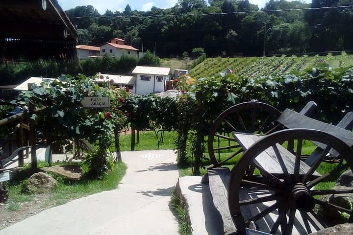 São Roque Wineries Route from São Paulo — Full-Day Wine & Chocolate Tour photo 6