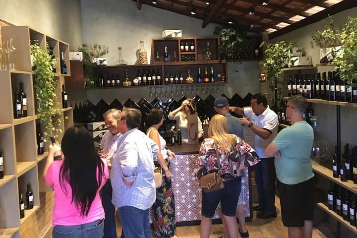 São Roque Wineries Route from São Paulo — Full-Day Wine & Chocolate Tour photo 2