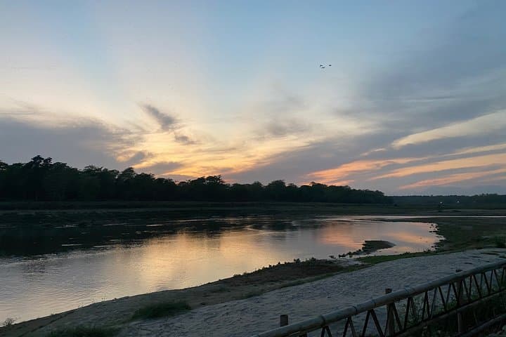 Chitwan Jungle Safari with Overnight Stay — 2-Day Wildlife & Birdwatching in Sauraha photo 4