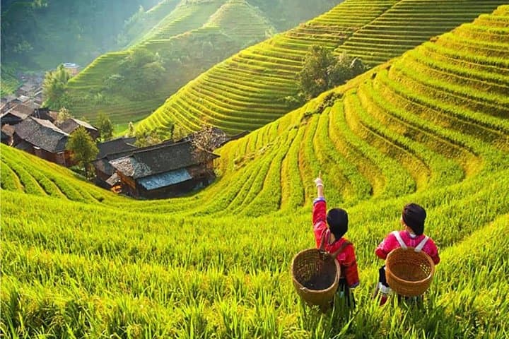2-Day Guilin Essentials: Longji Dragon's Backbone & Li River Cruise to Yangshuo