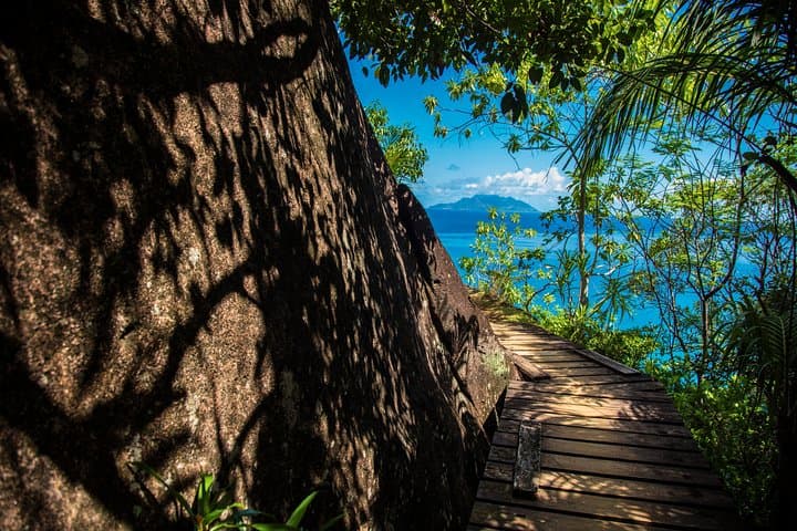 Anse Major Nature Trail: Mahé Coastal Hike to Secluded Beach photo 6
