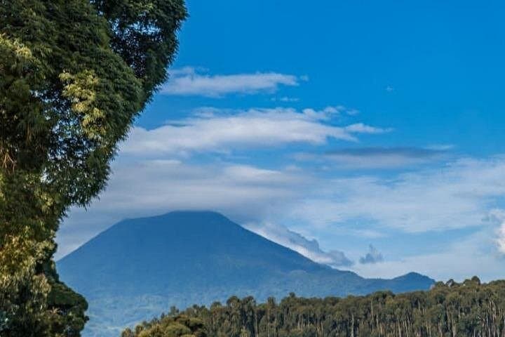 Gorilla Trekking in Volcanoes National Park: A Practical Guide to Rwanda's Mountain Giants photo 2