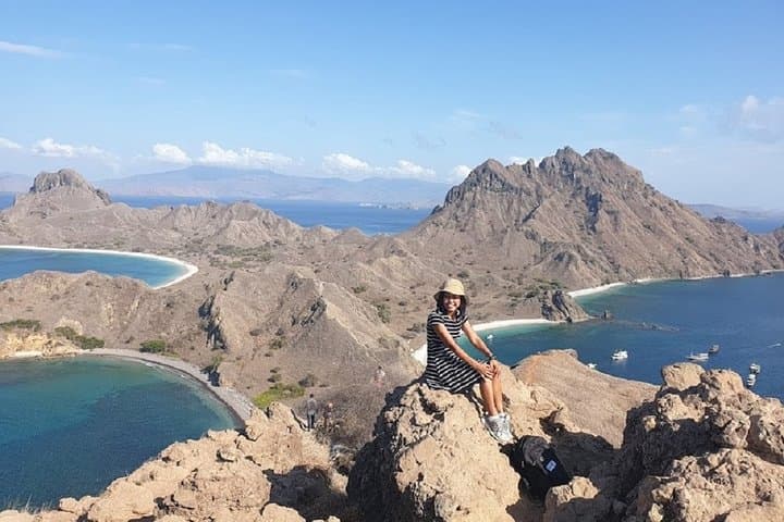 3-Day Komodo Island Tour: Dragons, Pink Beach & Snorkeling from Labuan Bajo