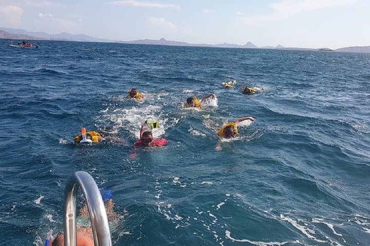 3-Day Komodo Island Tour: Dragons, Pink Beach & Snorkeling from Labuan Bajo photo 3