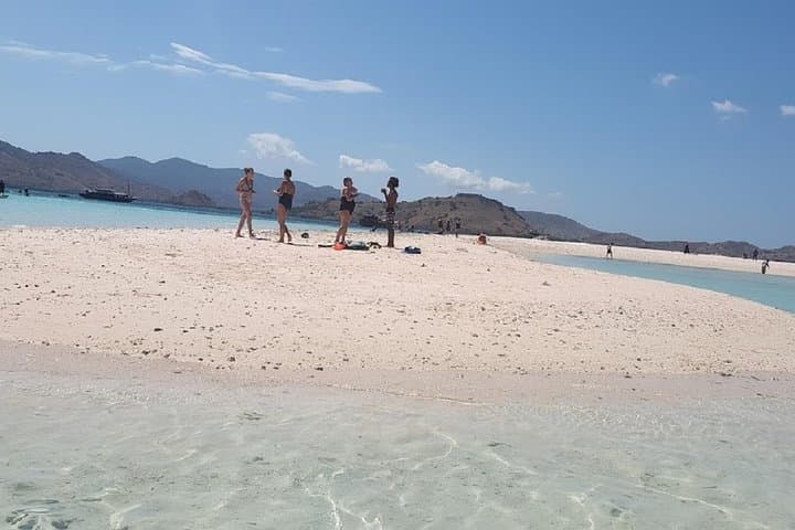 Komodo Speed-Boat Day Tour: Padar Hike, Dragons, Pink Beach & Manta Point photo 3