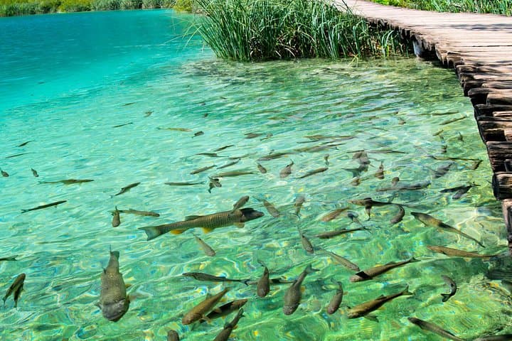 Private Rastoke and Plitvice Lakes Day Tour from Zagreb photo 4