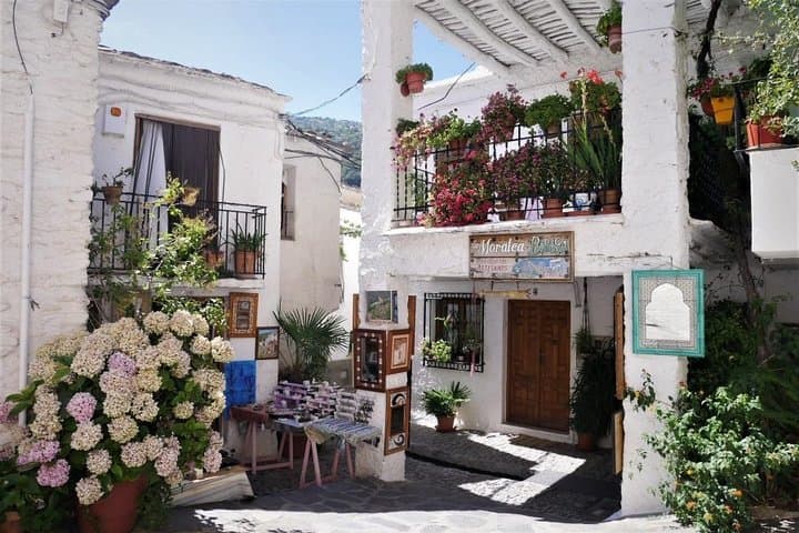 Alpujarra Villages Day Trip from Granada — Pampaneira, Bubión & Poqueira Gorge photo 4