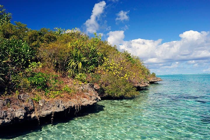 Ile aux Aigrettes to Gris Gris: Private Tea Route & Nature Reserve Day Tour, Mauritius photo 1