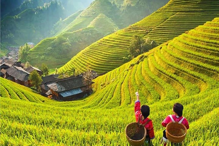 3-Day Private Guilin Tour from Chengdu: Li River Cruise, Yangshuo & Longji Rice Terraces
