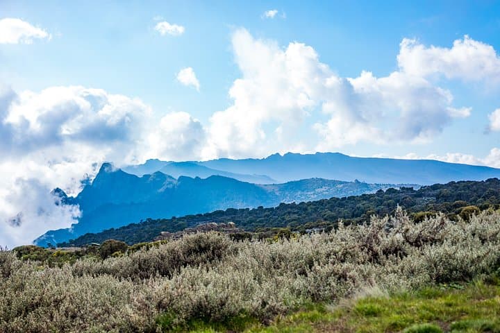 Six-Day Marangu Route Kilimanjaro Climb — Practical Guide to Uhuru Peak photo 3
