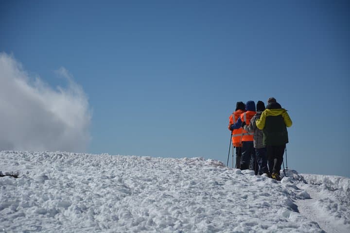 Kilimanjaro Rongai Route: 7-Day Guide to Climbing Uhuru Peak photo 5