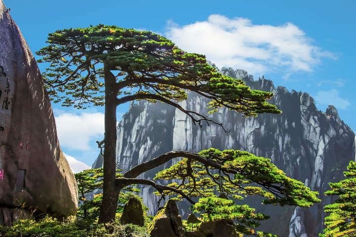 2-Day Mt Huangshan & Xidi Village Private Tour from Hangzhou — Bullet Train to Yellow Mountain