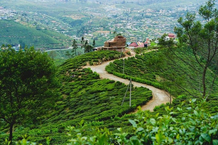 Hike to Single Tree Hill: Sunrise Vantage Over Nuwara Eliya photo 2
