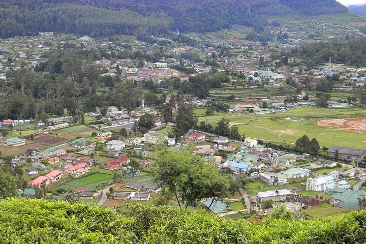 Hike to Single Tree Hill: Sunrise Vantage Over Nuwara Eliya photo 3