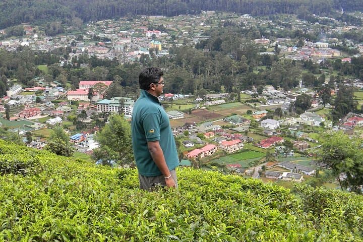 Hike to Single Tree Hill: Sunrise Vantage Over Nuwara Eliya photo 4
