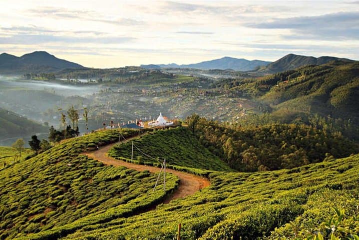 Hike to Single Tree Hill: Sunrise Vantage Over Nuwara Eliya photo 6